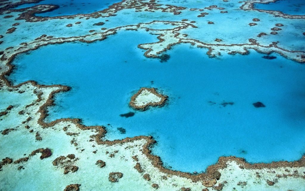 OLTRE LE SPIAGGE LE BARRIERE CORALLINE PIU BELLE DEL MONDO DAI